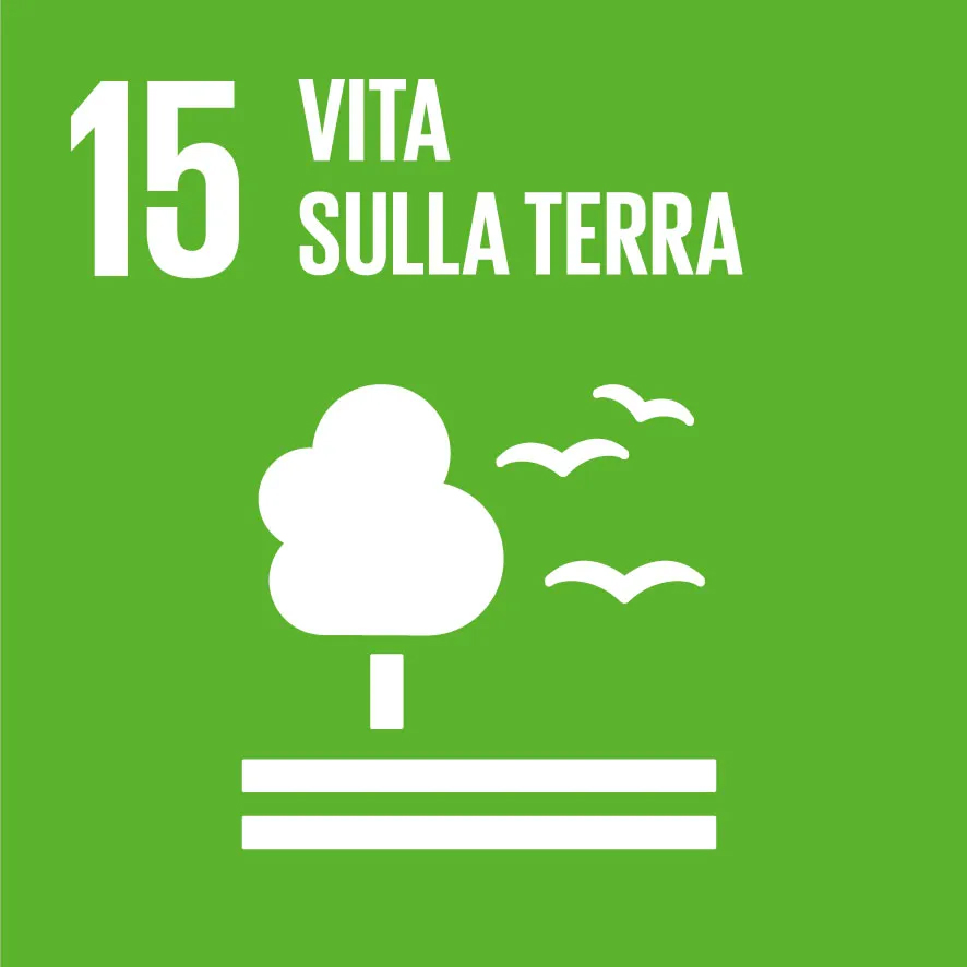 Logo SDGs 13